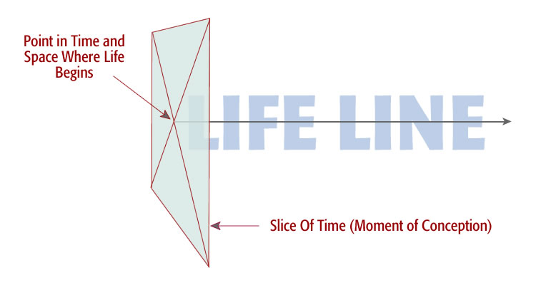 point in time and space when life begins